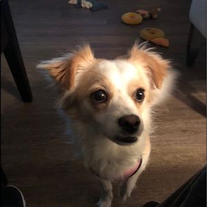 Meet your Posher, Glen